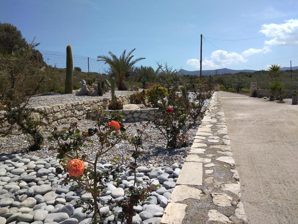Kouremenos Manolis Apartment Palekastro Buitenkant foto